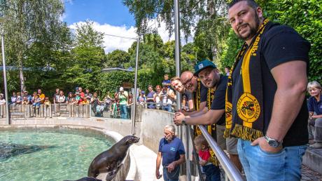 Der Fanclub Borussia Augusta zu Besuch bei seinem Seebär-Patentier „Schwalbenmeister“ und seinem Spielkameraden. Der Verein hat die Patenschaft für das Tier für ein Jahr übernommen.  	