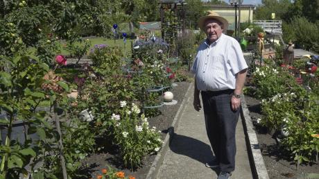 Sein Kleingarten an der Wertach hat für Altstadtrat Dieter Benkard noch an Bedeutung gewonnen. Die Gartenarbeit erleichtert ihm seinen Rückzug aus der Kommunalpolitik.