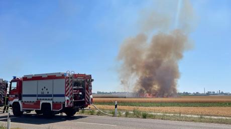 Im Süden Göggingens ist am Sonntagnachmittag ein Feld in Brand geraten. Die Feuerwehr war schnell vor Ort, um das Feuer zu löschen.