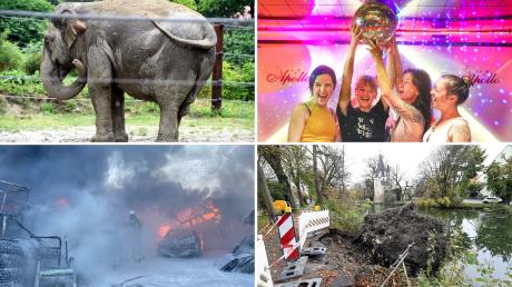 Ein paar der Geschichten des Jahres in Augsburg drehten sich um (von oben links im Uhrzeigersinn): Elefantendame Targa, den Ausverkauf in der Apollo-Bar, Baumstürze und Brände.