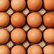 Ob eine Henne weiße oder braune Eier legt, lässt sich nicht nur an der Farbe des Gefieders erkennen.