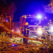 In Ober-, Mittel- und Unterfranken musste die Feuerwehr in der vergangenen Nacht viele Straßen von umgestürzten Bäumen befreien. Dieses Bild entstand bei Erlangen. 