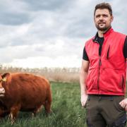 Fabian Schwemmlein hält 30 Rinder in den Mainauen bei Augsfeld, Haßfurt. 