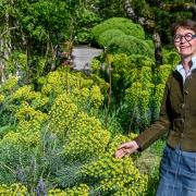 Simone Angst-Muth zeigt in ihrem Paradies von Garten, wie man einen Trockengarten klimagerecht und tierfreundlich anlegt und pflegt. 