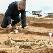 Schnell stießen die Archäologen und Archäologinnen in Duttenbrunn im Frühjahr 2024 auf Skelette aus der Karolingerzeit.