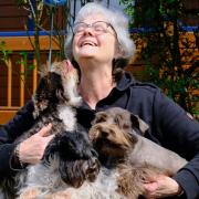 Das Glück, eine Hundefreundin zu sein: Andrea Dobruta aus Sulzdorf an der Lederhecke genießt die Gemeinsamkeit mit ihren American Schnauzern. Auch sie wirkt mit, dass Sulzdorf bayernweit einen Spitzenplatz belegt in Sachen Hundehaltung.