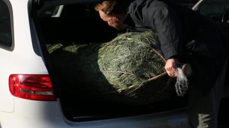 Ein nicht gesicherter Weihnachtsbaum hat einen Unfall auf der B16 in Neuburg ausgelöst. 