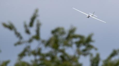 Ein Segelflieger fliegt im Hintergrund eines Baums am Himmel.