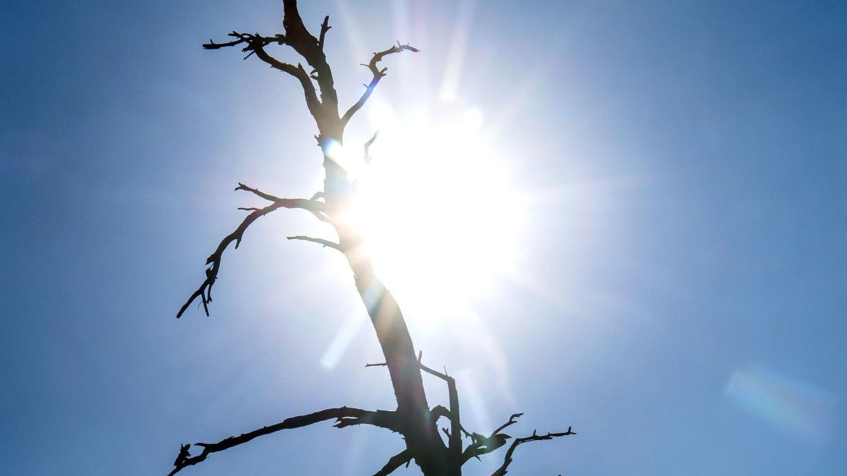 #Bayern: Hitzewarnung heute – Hitzeschub durch Wüstenluft
