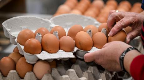 Unbekannte haben ein Haus in Dillingen mit Eiern abgeorfen.