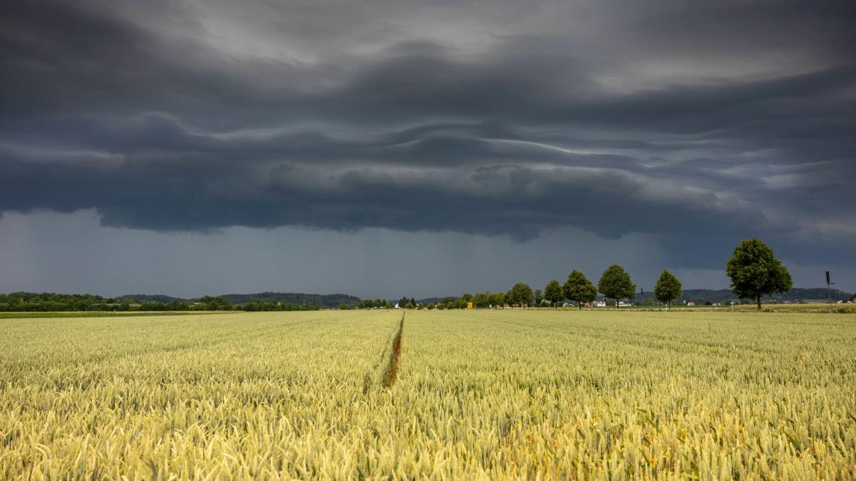 #Wetter: Unwetter in Deutschland: Hagel und Tornados erwartet