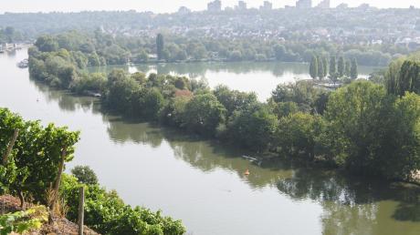 Der Neckar fließt vor dem Max-Eyth-See vorbei.