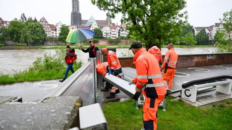 Mitarbeiter des Neu-Ulmer Baubetriebshofes bereiten sich auf das Hochwasser an der Donau vor und bringen Schutzwände an.