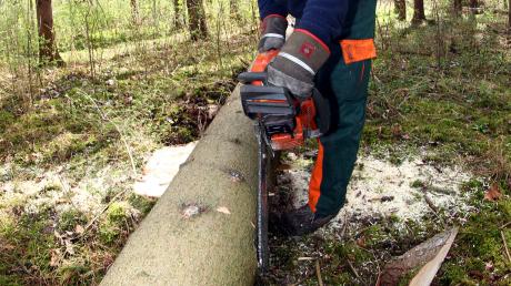 Wer im Wald tätig ist, sollte nicht nur Schutzausrüstung tragen, sondern möglichst auch den Umgang mit den Geräten erlernt haben.