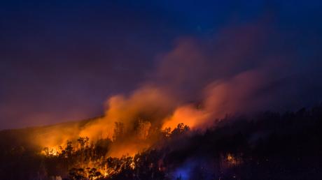 Bei den Bränden in Portugal sind bereits 64 Menschen ums Leben gekommen. 