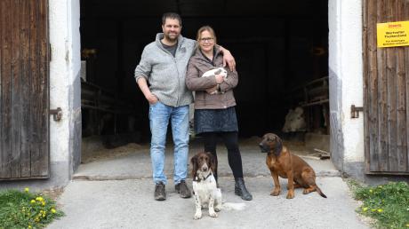 "Bauer sucht Frau": Stephan Finkenzeller und Steffi Lüdge haben sich im vorigen Jahr über die RTL-Sendung kennengelernt. Jetzt leben sie auf dem Bauernhof in Sielenbach-Raderstetten.