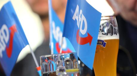 Die AfD hat bei den Landtagswahlen in Baden-Württemberg und Rheinland-Pfalz Verluste einstecken müssen. Doch im Sommer könnte sie weder erstarken.