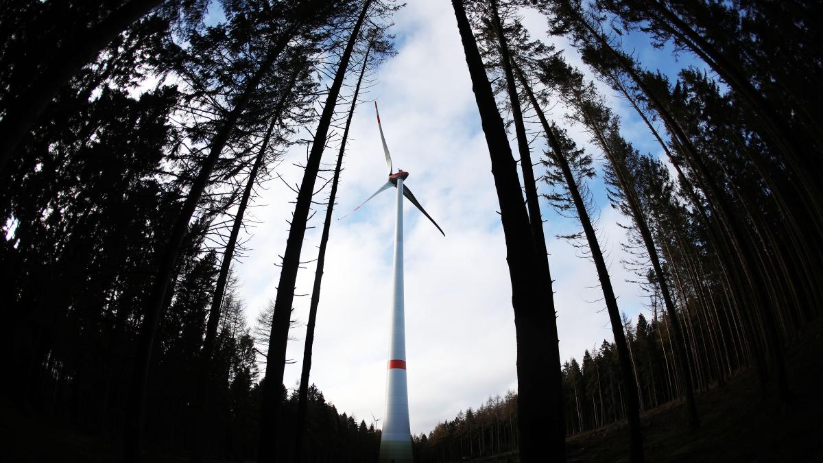 #Energiewende: In den bayerischen Staatsforsten ist Platz für 450 Windräder