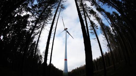 Im Ebenrieder Forst hat die Marktgemeinde Pöttmes vor gut zehn Jahren eine Konzentrationsfläche für Windkraft ausgewiesen. Drei Investoren wollen dort Windräder errichten. Sie stellten sich am Dienstag in einer Sondersitzung des Marktgemeinderats vor.