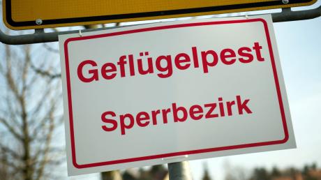 Nach dem Ausbruch der Geflügelpest in einem Stall im Gemeindegebiet Ziertheim hat das Landratsamt weitere Maßnahmen erlassen. 