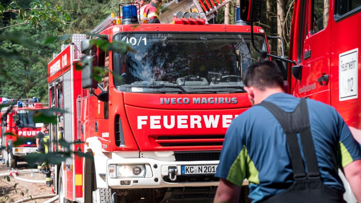 #Waldbrandgefahr Bayern aktuell: Welche Stufe gilt?