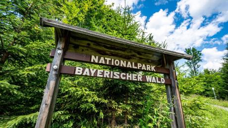 «Nationalpark Bayerischer Wald» steht auf einem Schild.