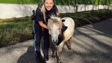 Eine Polizistin hält ein entlaufenes Pony fest. Ein Passant hatte das ausgebüxte Pferd in der Nähe der Bundesstraße 2 entdeckt und die Polizei gerufen.