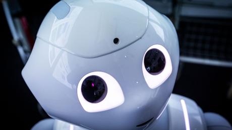Der Pepper-Roboter der Firma Aldebaran Robotics wurde von Rostocker Wissenschaftlern für die Betreuung von Schlaganfallpatienten programmiert.