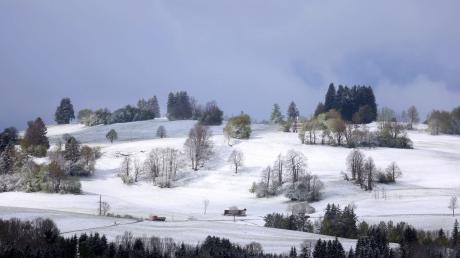 Eine mit Neuschnee bedeckte Landschaft im Landkreis Oberallgäu.