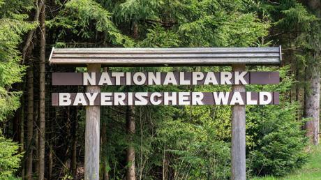 Ein Schild mit der Aufschrift «Nationalpark Bayerischer Wald» steht am Waldrand.