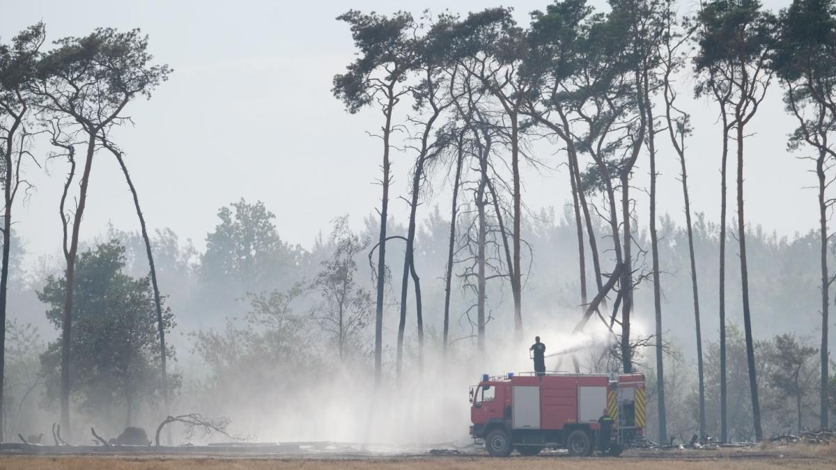 #Elbe-Elster: Experte: Einsatz von Löschpanzern bei Waldbränden sinnvoll
