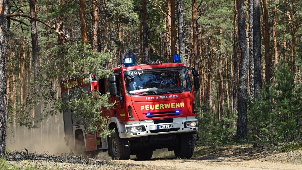 #Feuerwehreinsatz: Mehreren Waldbrände in Brandenburg gelöscht