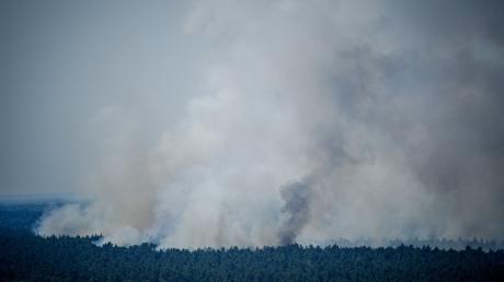 Rauch steigt bei einem Brand im Grunewald auf.