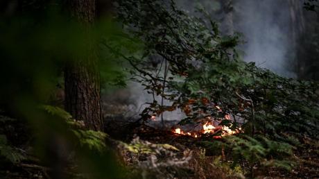 Flammen loderten in einem Brandnest im Grunewald in der Nähe des Sprengplatzes.