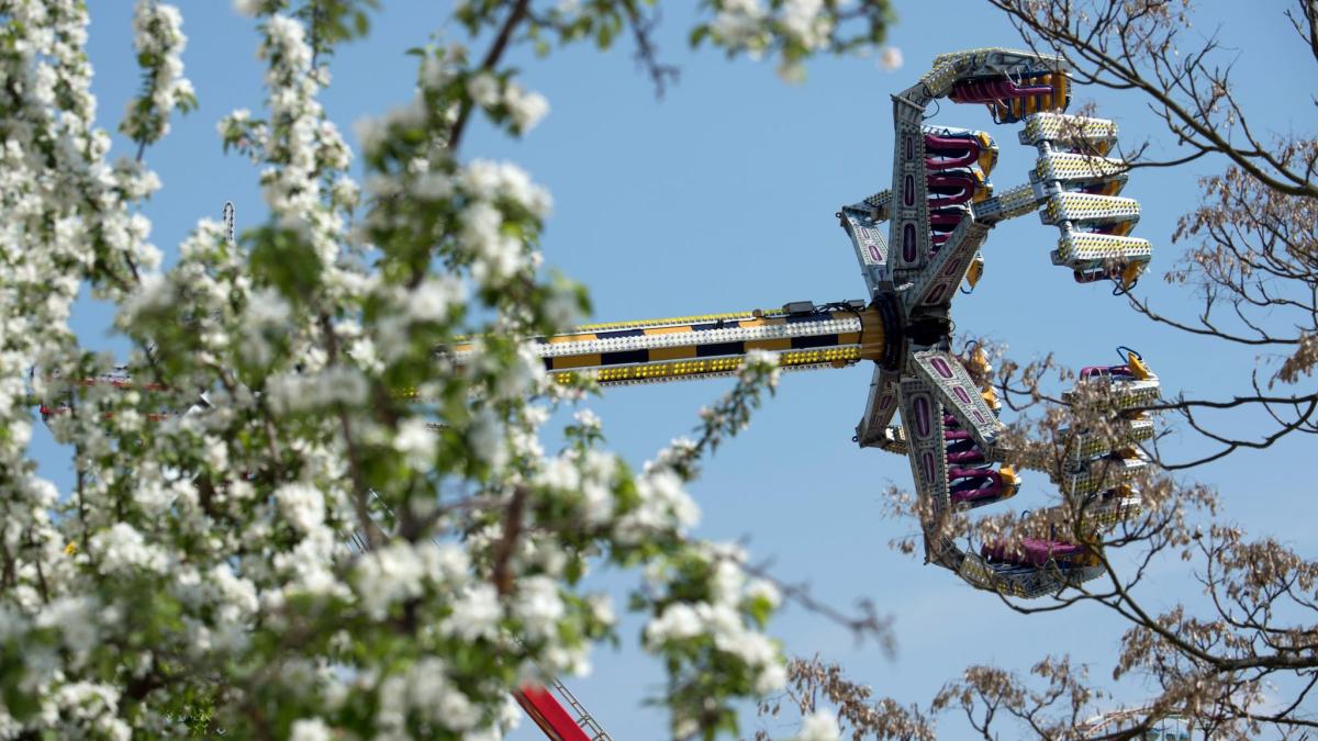 #Baumblütenfest in Werder mit neuem Konzept
