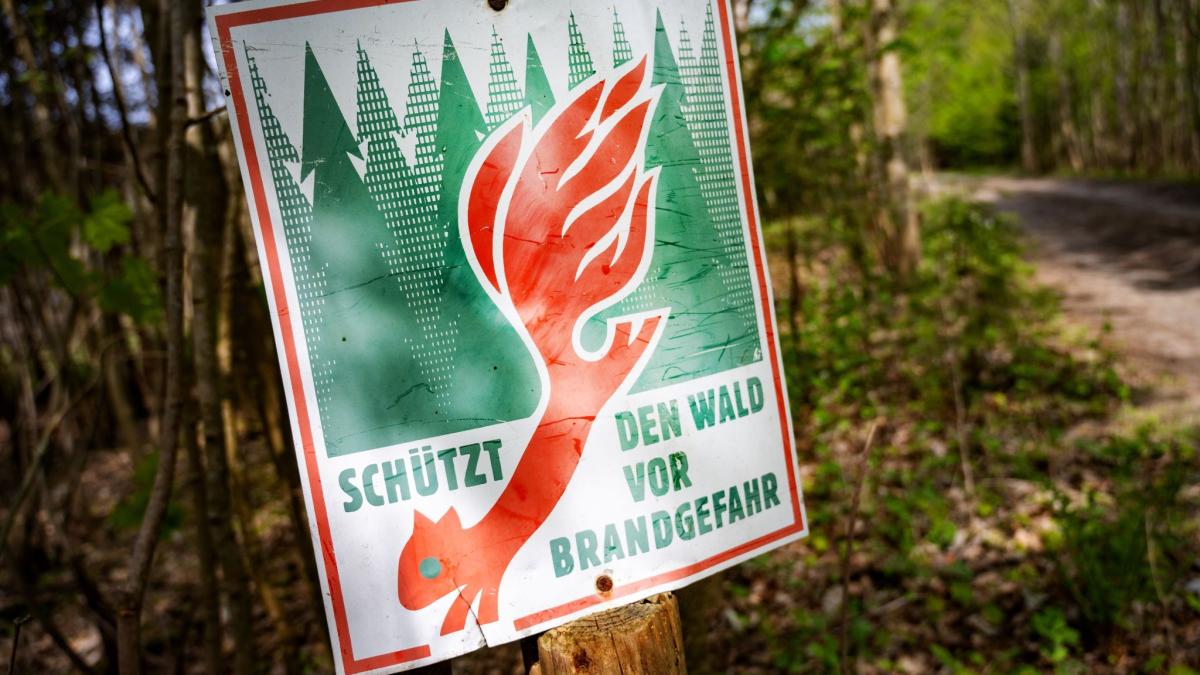 #Wetter: Hohe Waldbrandgefahr in Brandenburg