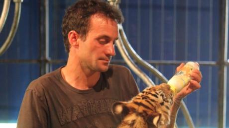 Tigerbaby Montecor bekommt die Flasche von Dompteur Christian Walliser (Archiv). Nach dem tragischen Fall um Tigermutter Ashanty sind die Wallisers nun wieder mit der Aufzucht eines Babys beschäftigt.  