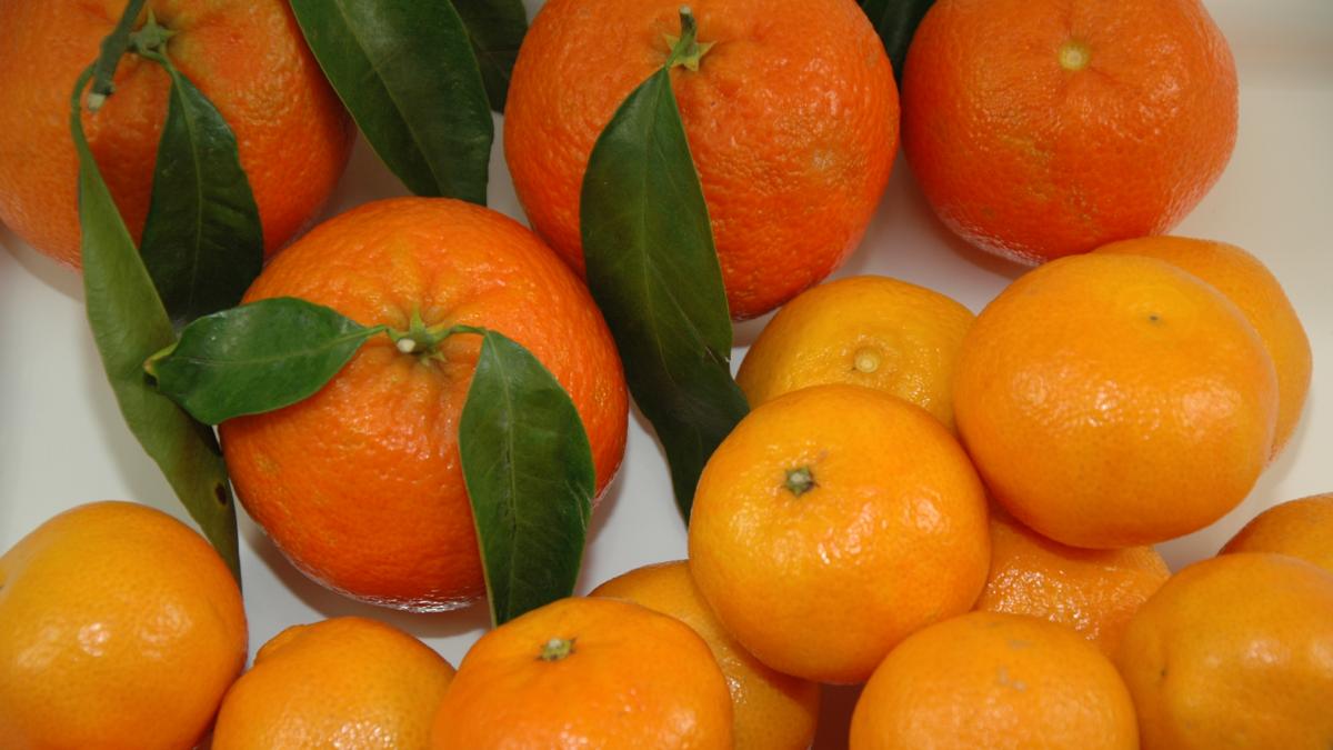 Mandarinen und Clementinen sind gesund: Unterschied?