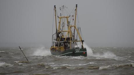 Fischfang in der Nordsee: Zwischen der EU und Großbritannien stehen die Zeichen politisch auf Sturm.