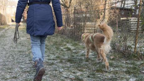 Bei einer Gassirunde in Glöttweng hat ein Hund möglicherweise Giftköder gefressen.