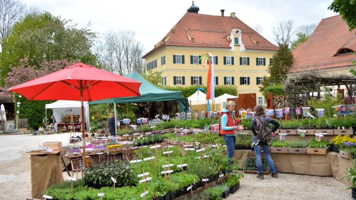 #Lebensraum Garten 2022 auf Gut Mergenthau: Öffnungszeiten, Programm, Eintrittspreise
