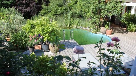 Ein kleiner Schwimmteich, Sonnenliegeplätze, die Terrasse versteckt hinter wildem Wein, alles umrahmt von Zitronen-, Orangen- und Olivenbäumen - das ist Sommer in Thannhausen.