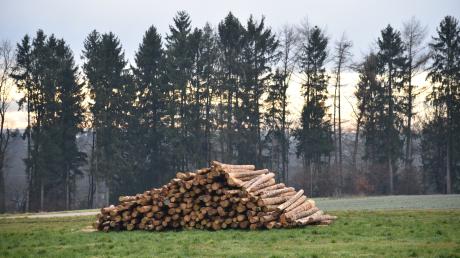 Die Art der Bewirtschaftung des rund 250 Hektar großen Osterberger Gemeindewalds ist im Gemeinderat nach wie vor stark umstritten.