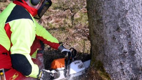 Bei Waldarbeiten in Schwenningen (Symbolfoto) hat ein Ast einen 48-Jährigen am Kopf getroffen. 
