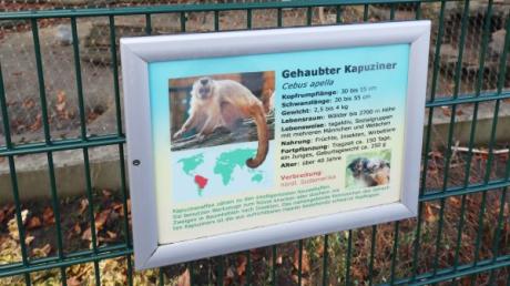 Hier wo sich heute das Kapuzineraffengehege befindet war früher der Zugang zum Zoo Augsburg.  Der SPD-Ortsverein Herrenbach-Spickel hat daher unter anderem eine Reaktivierung dieses Eingangs mit in sein Konzept aufgenommen.