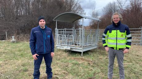 Beweider Karl Lechler (links) und Oliver Saga von der Beitreibergesellschaft autobahnplus A8. Am Mittwoch wurden Galloway-Rinder auf die Weide gebracht.