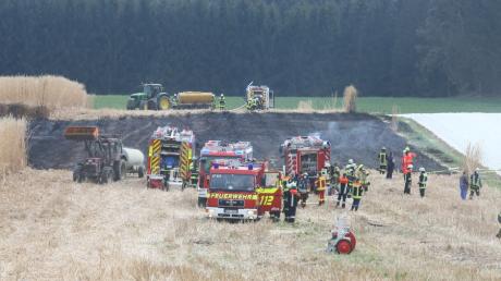 Am Ortsausgang von Mainbach in Richtung Gebersdorf (500 Meter) stand ein Feld mit Elefantengras in Flammen. Das Feuer hatte von einem brennenden Häcksler übergegriffen.