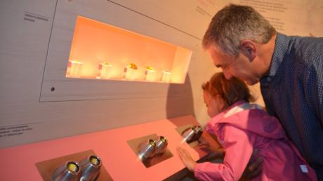 Im Bienenmuseum in Illertissen gibt es immer wieder Interessantes zu entdecken. Auch im Herbst und Winter ist das Museum geöffnet.