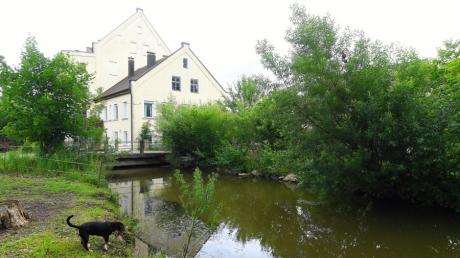 Welcher Flusskategorie ist die Butzengünz zuzurechnen und wer ist für die Gewässerpflege verantwortlich? Diese Fragen wurden vor dem Verwaltungsgericht Augsburg verhandelt.