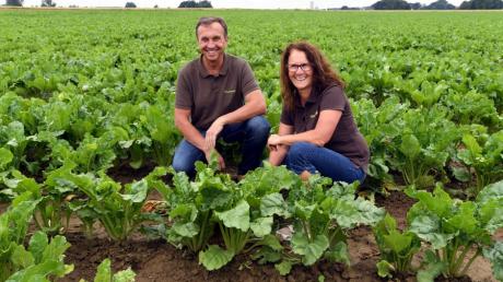 Alfred und Judith Hausmann aus Ehingen setzen auf Bio-Anbau.